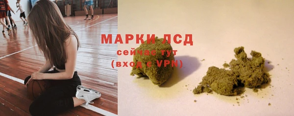 spice Аркадак