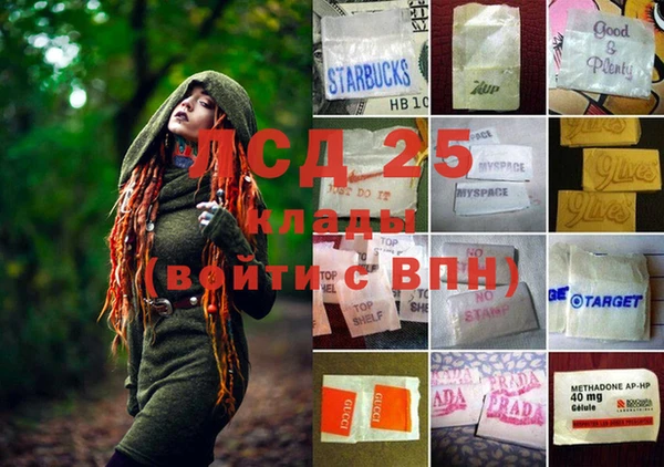 spice Аркадак