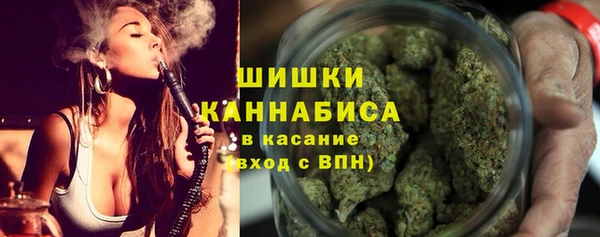 spice Аркадак