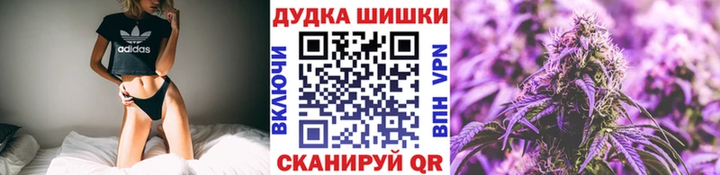 Каннабис планчик  Купить закладки  Шилка 